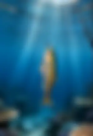 나랑 친해지면 보여줄게~