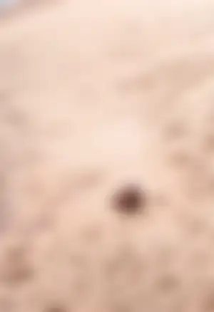 아직 일러~ 더 친해져야지